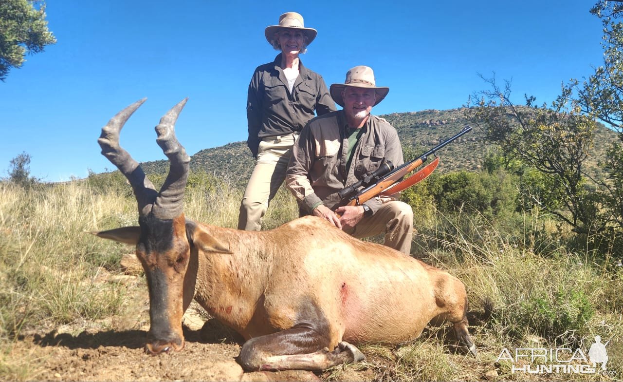 Red Hartebeest Hunt South Africa