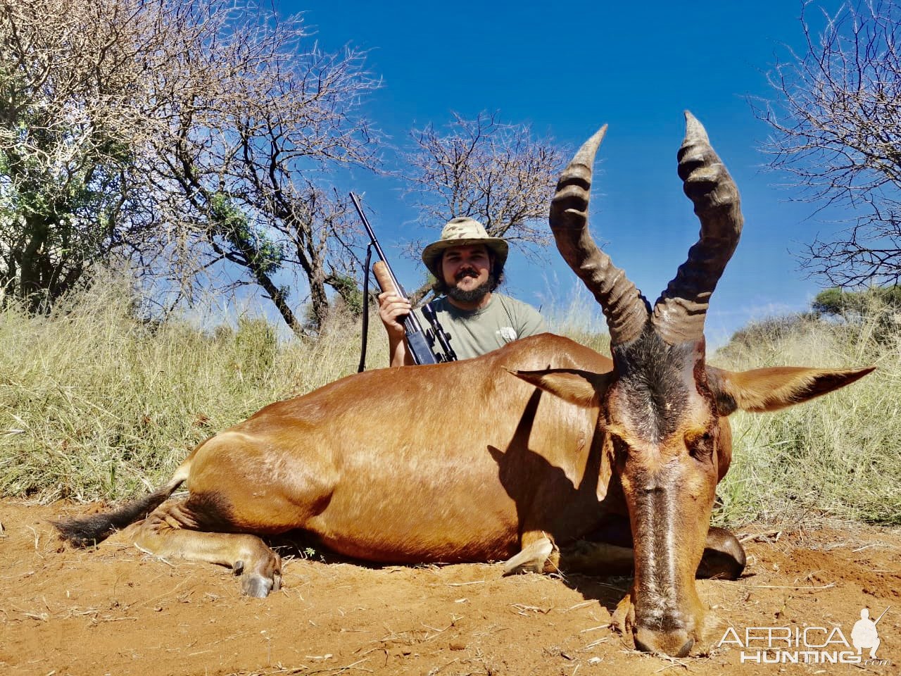 Red Hartebeest Hunt South Africa