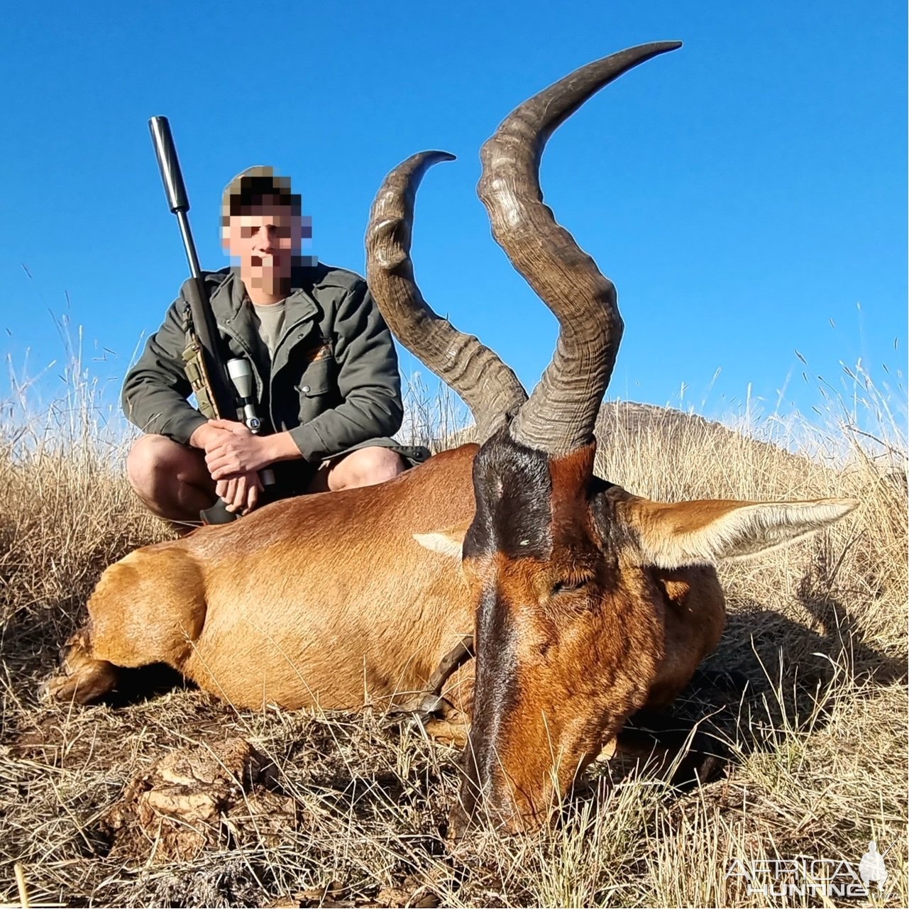 Red Hartebeest Hunt South Africa