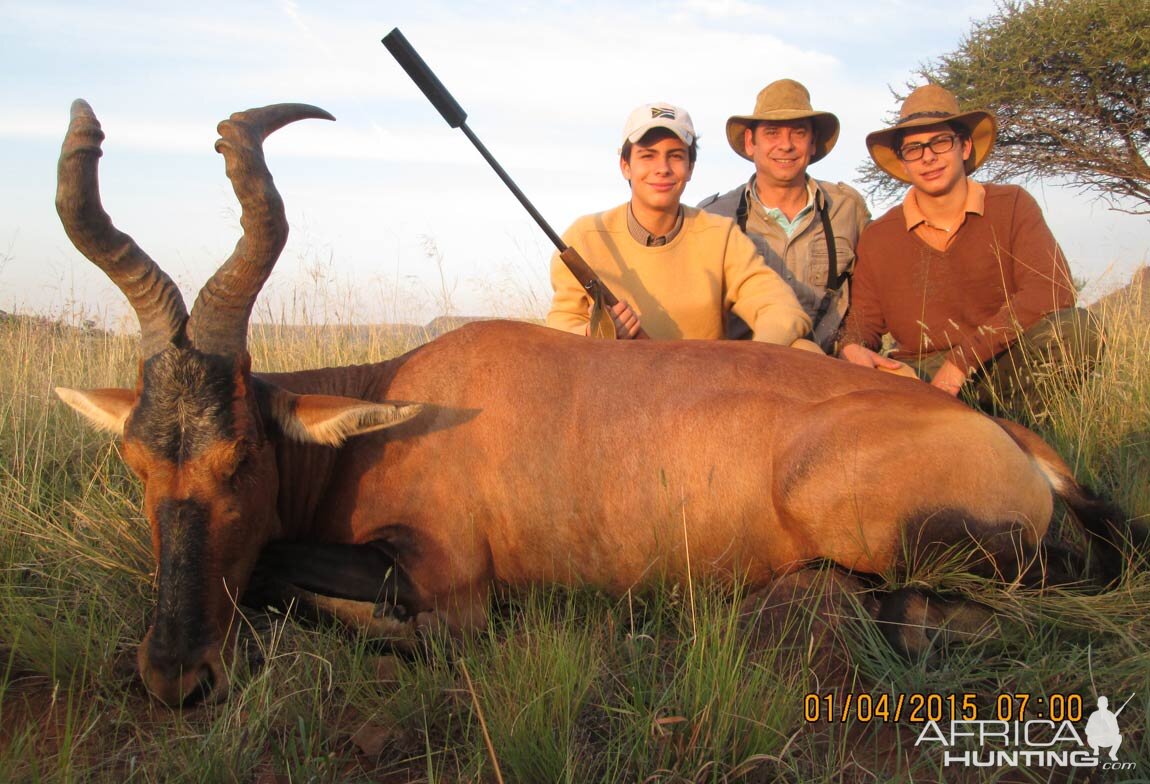 Red Hartebeest Hunt South Africa