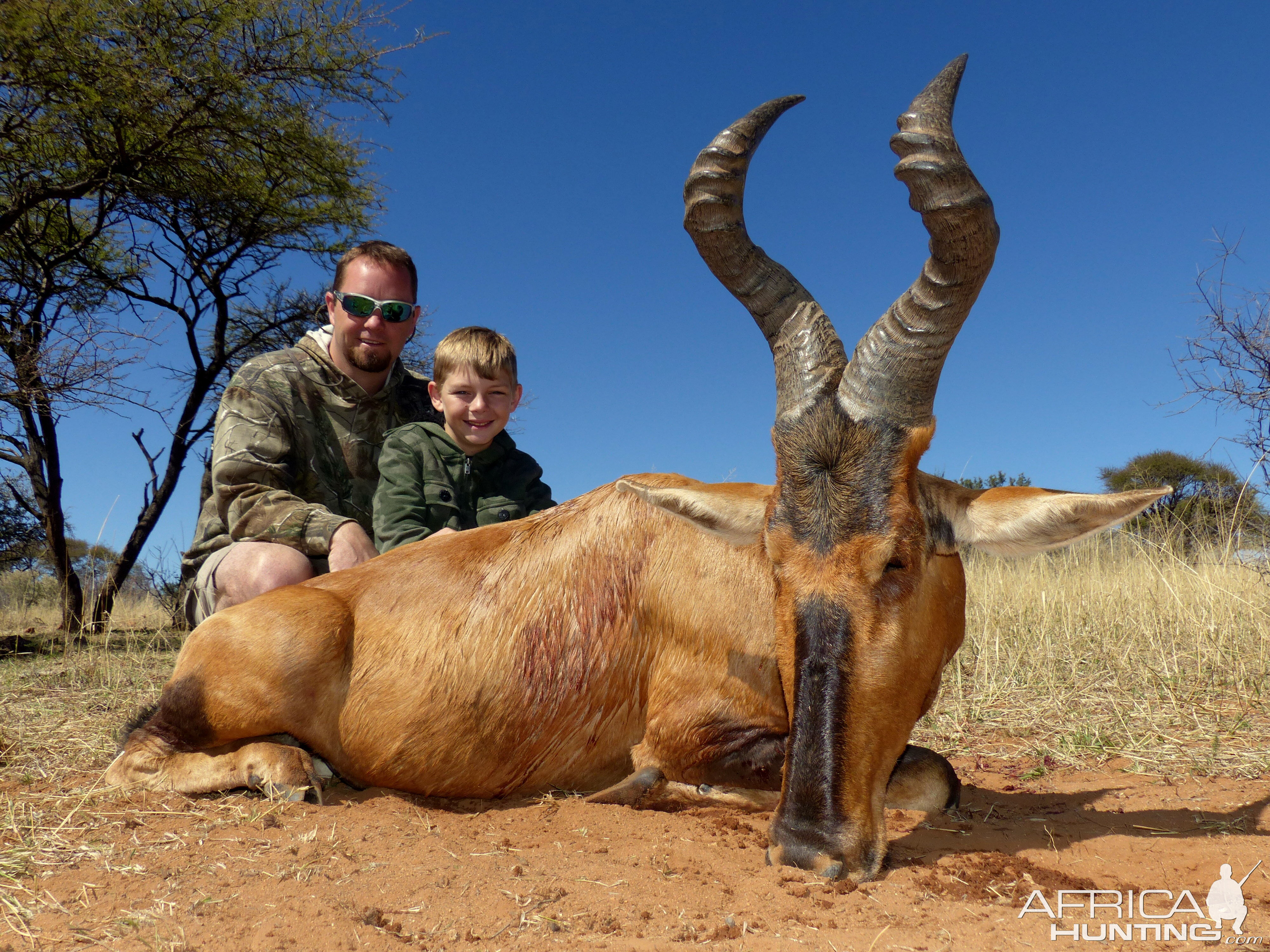 Red Hartebeest Hunt South Africa