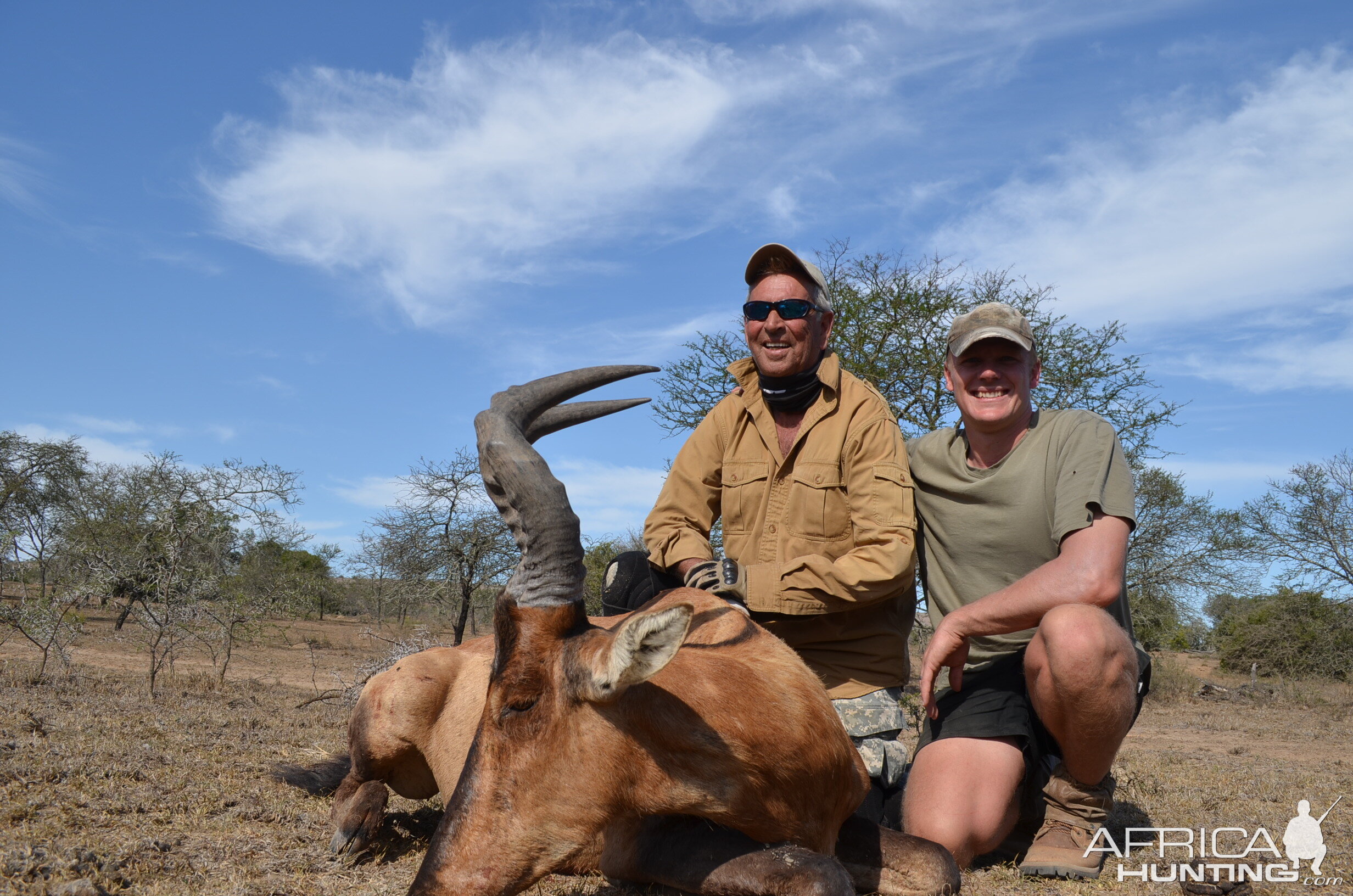 Red Hartebeest Hunt South Africa