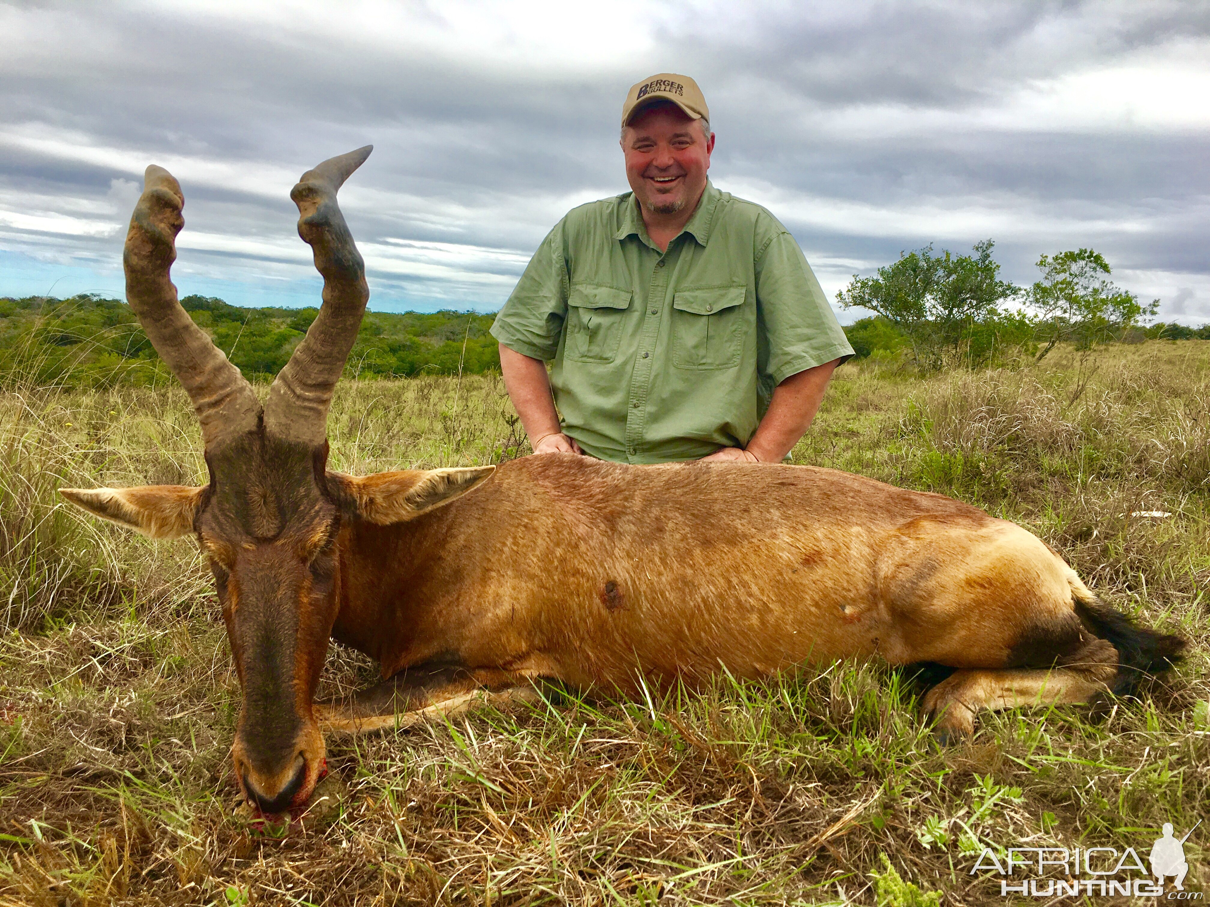 Red Hartebeest Hunt South Africa