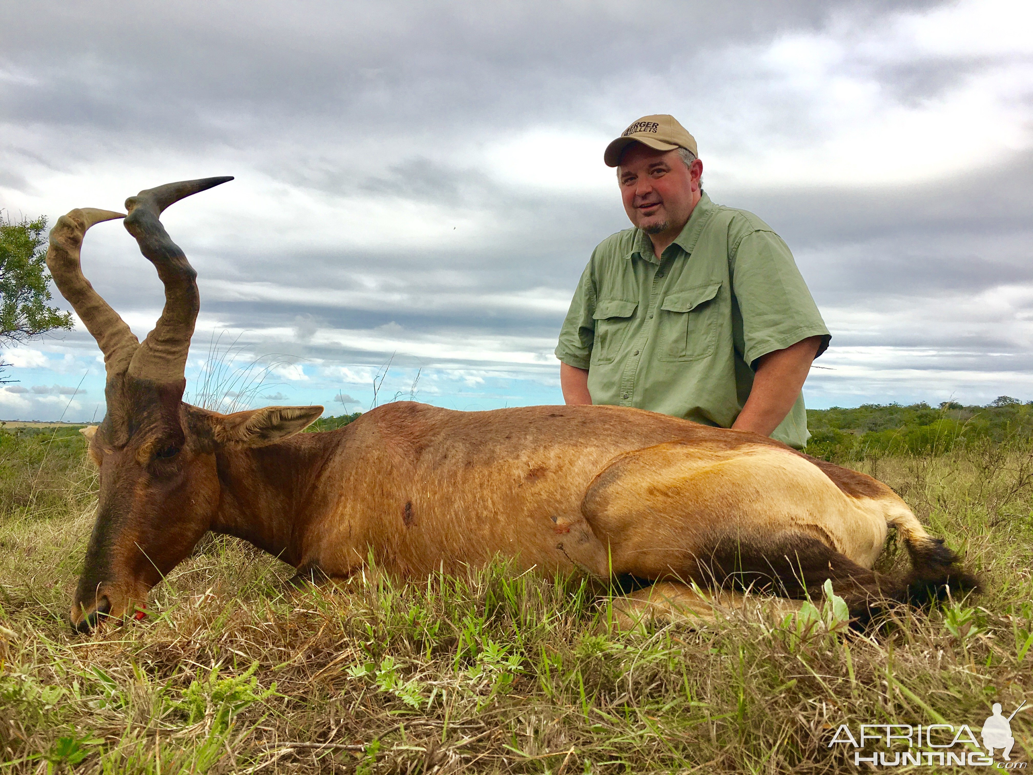 Red Hartebeest Hunt South Africa