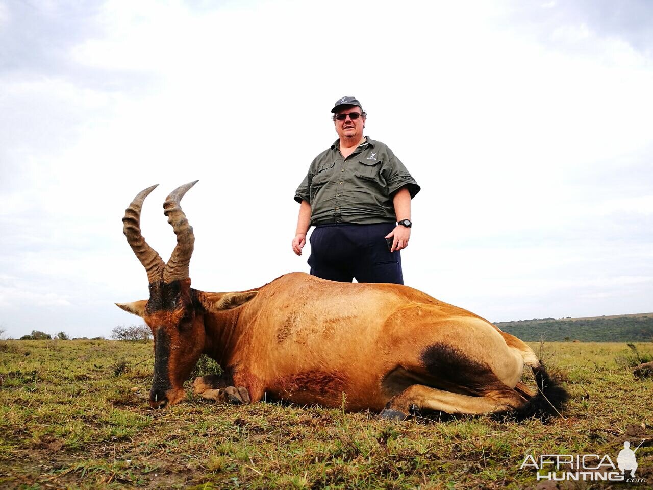 Red Hartebeest Hunt South Africa