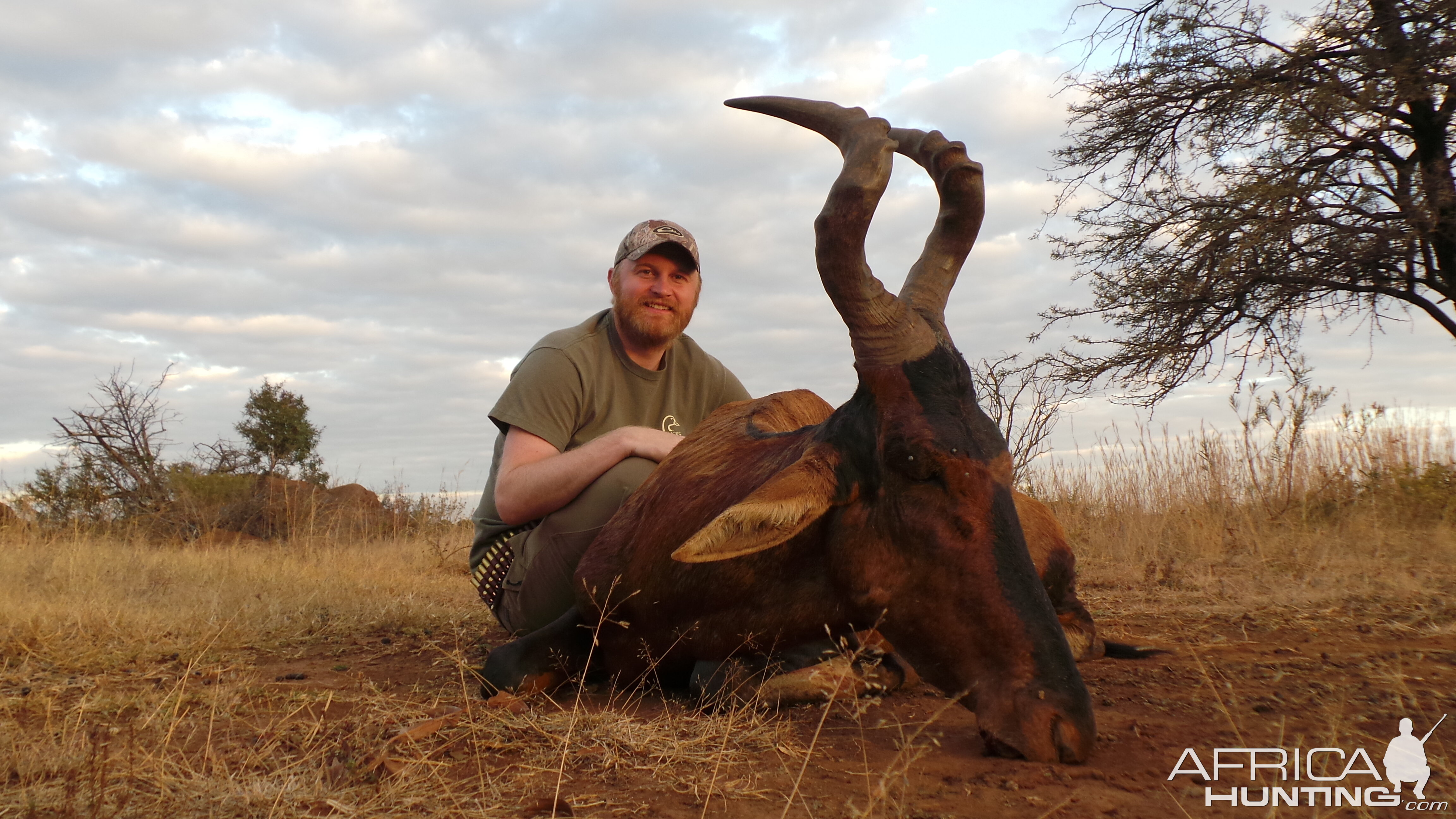 Red Hartebeest Hunt South Africa