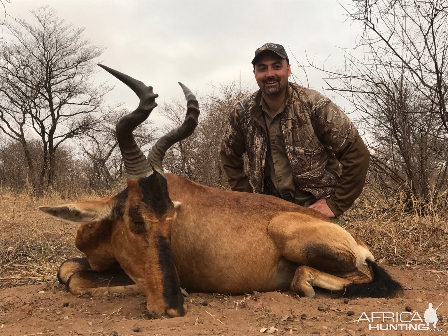 Red Hartebeest Hunt South Africa