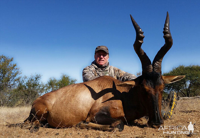 Red Hartebeest Hunt South Africa