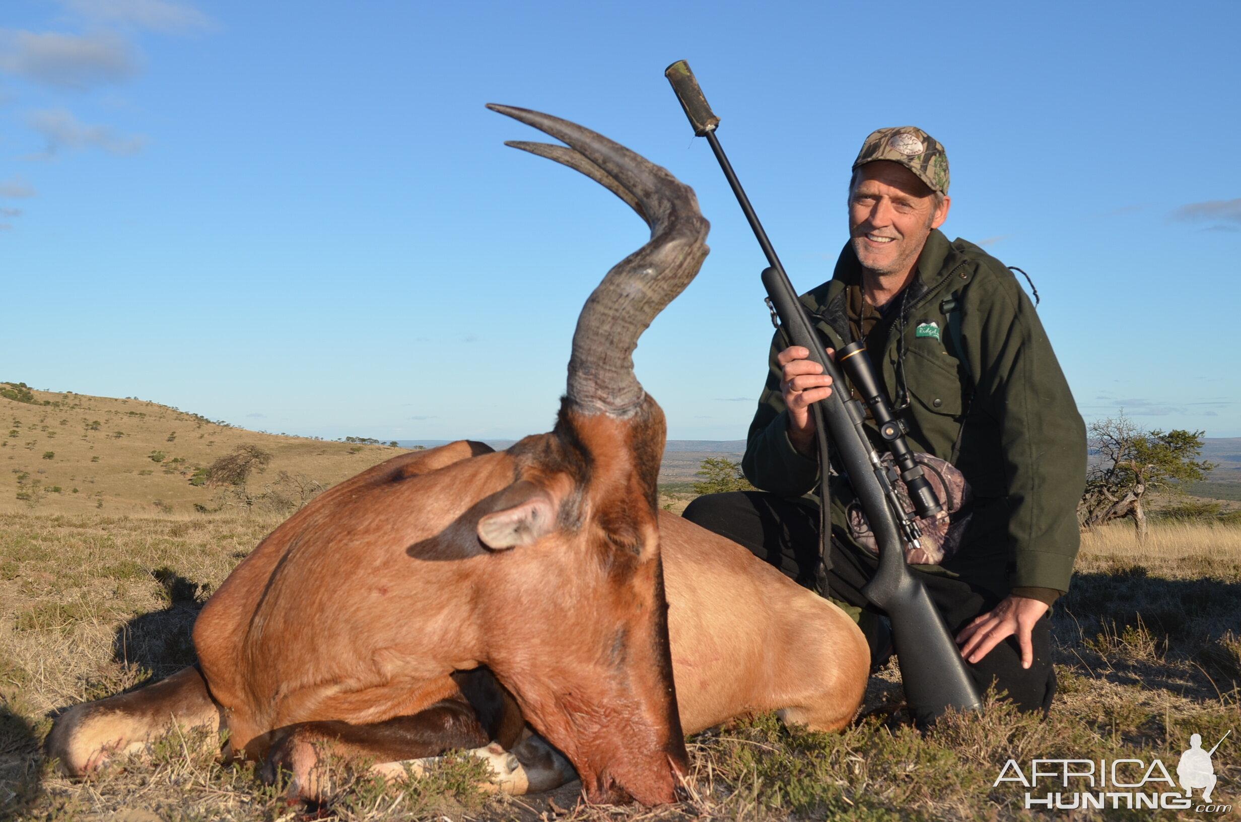 Red Hartebeest Hunt South Africa