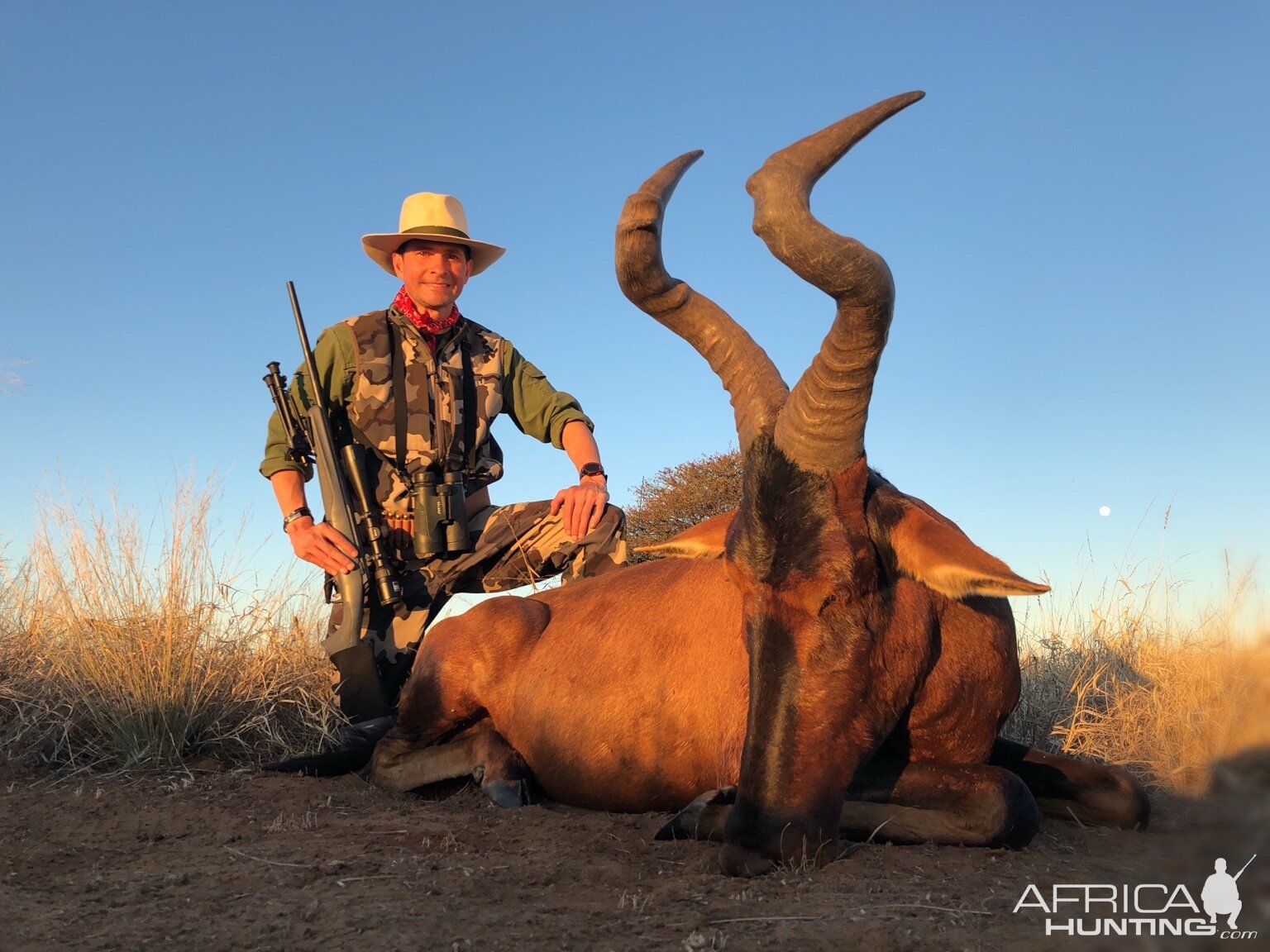 Red Hartebeest Hunt South Africa