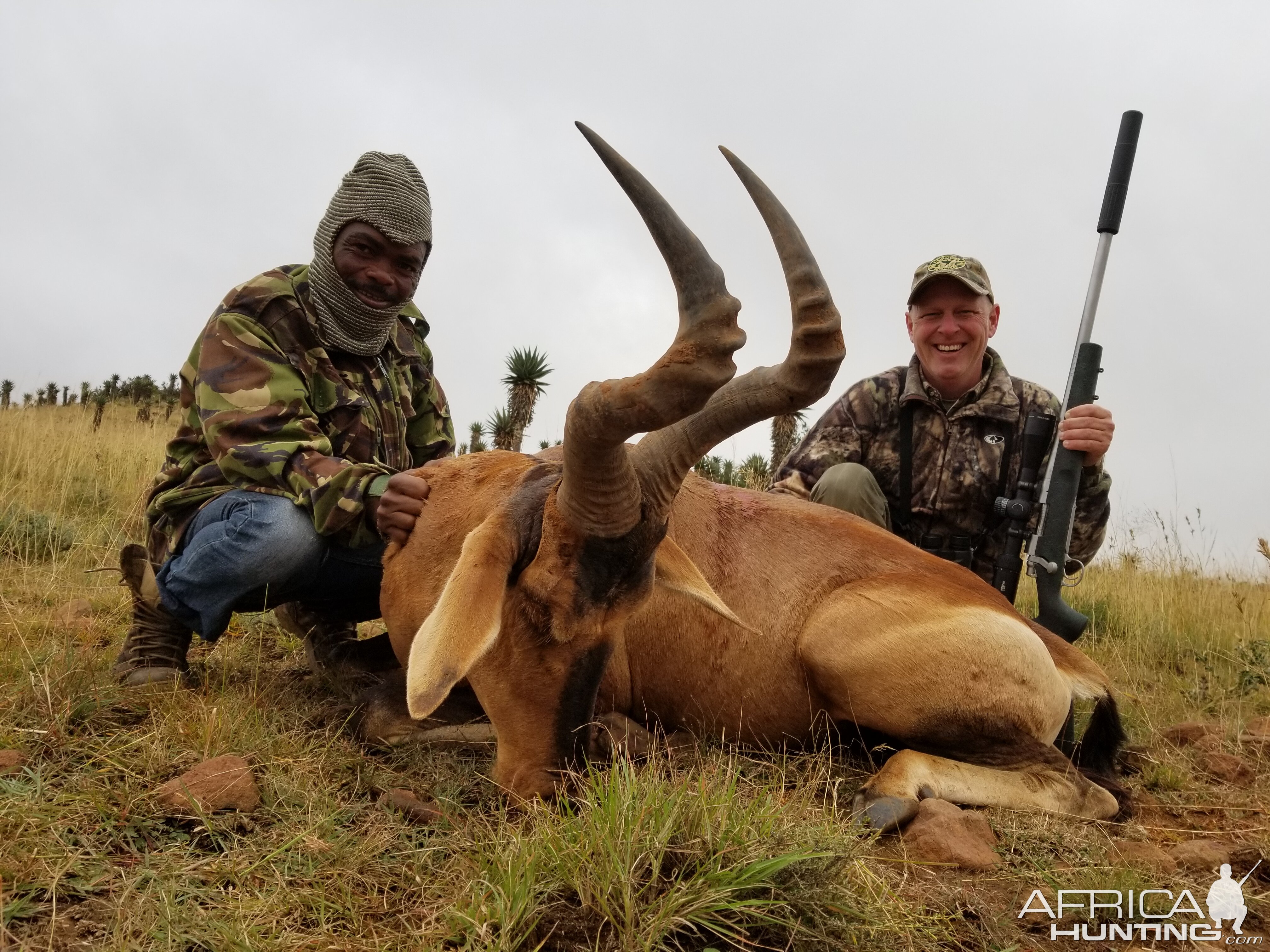 Red Hartebeest Hunt South Africa