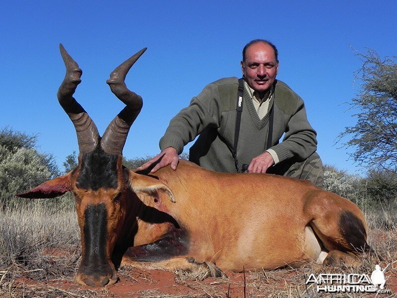 Red Hartebeest hunt with Wintershoek Johnny Vivier Safaris