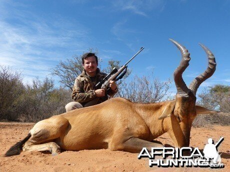 Red Hartebeest hunt with Wintershoek Johnny Vivier Safaris