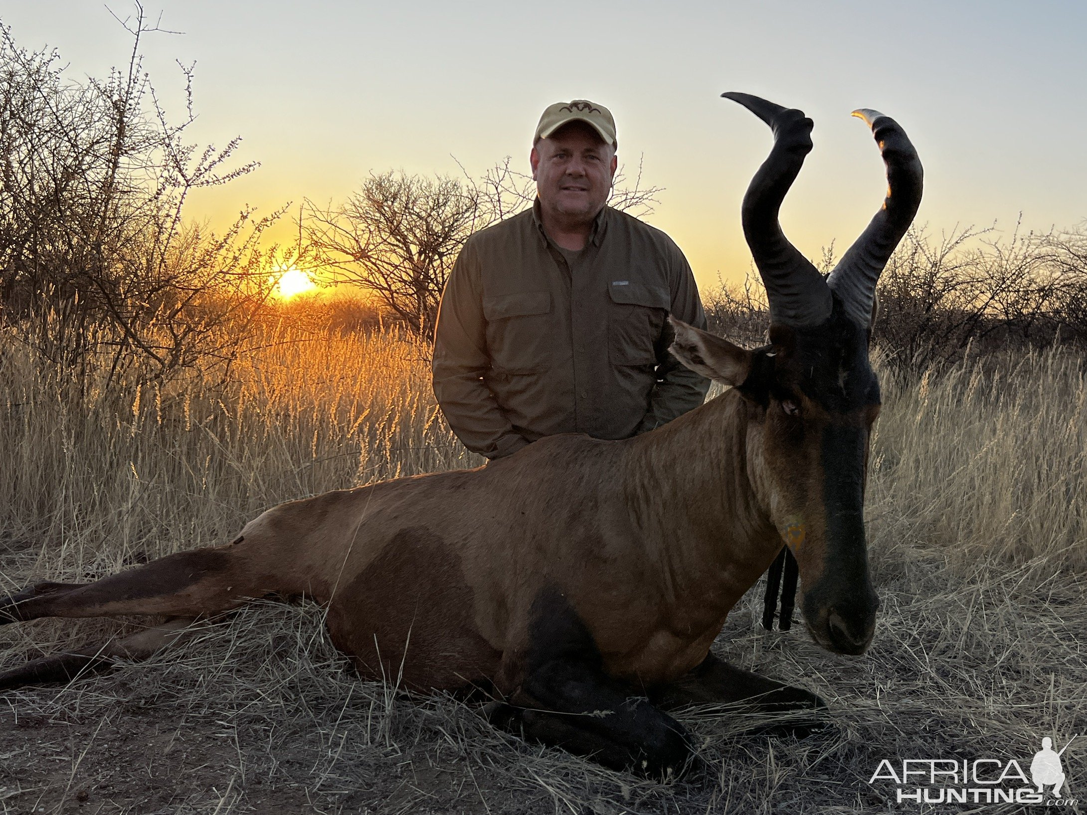 Red Hartebeest Hunt