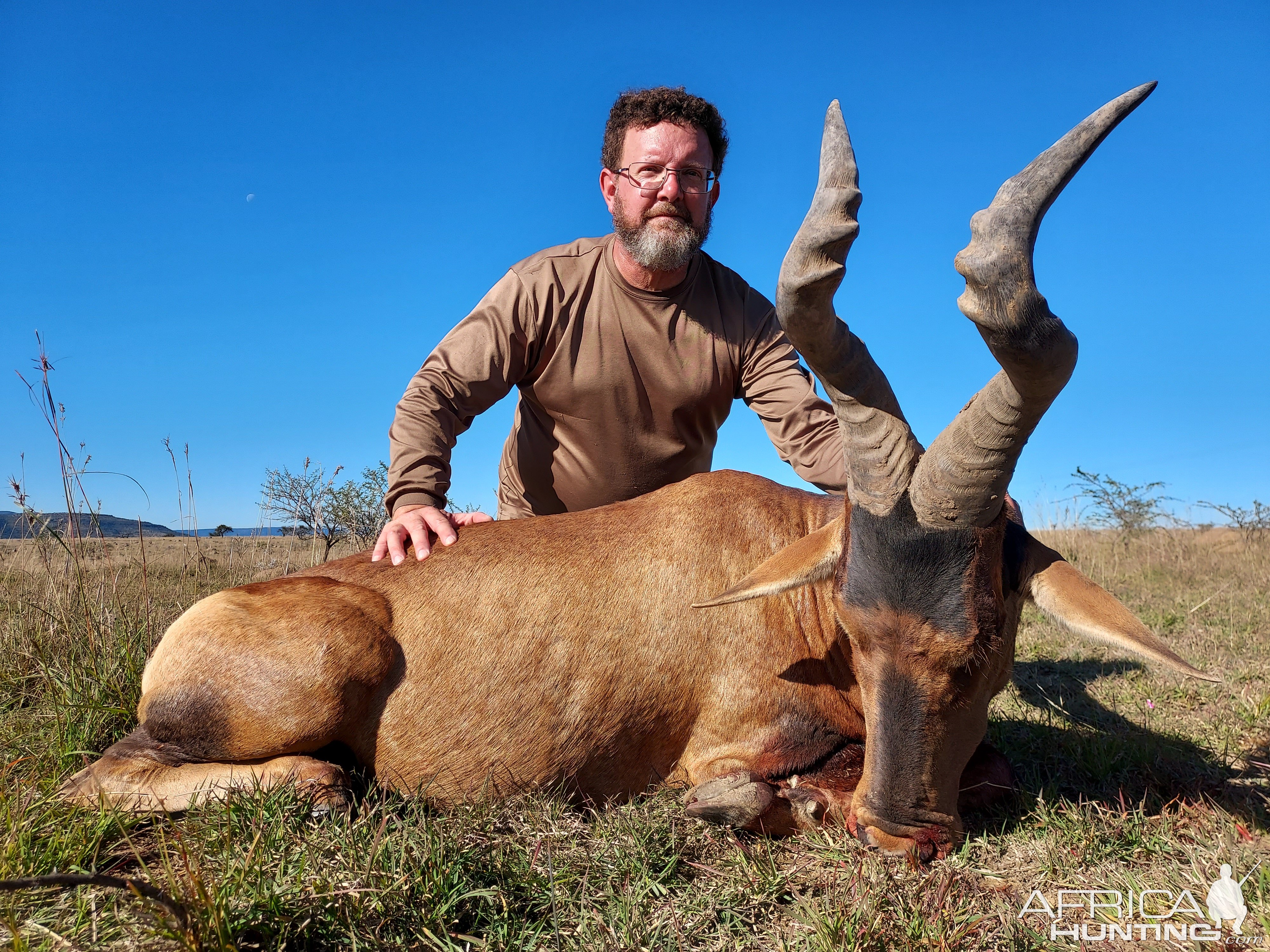 Red Hartebeest Hunt