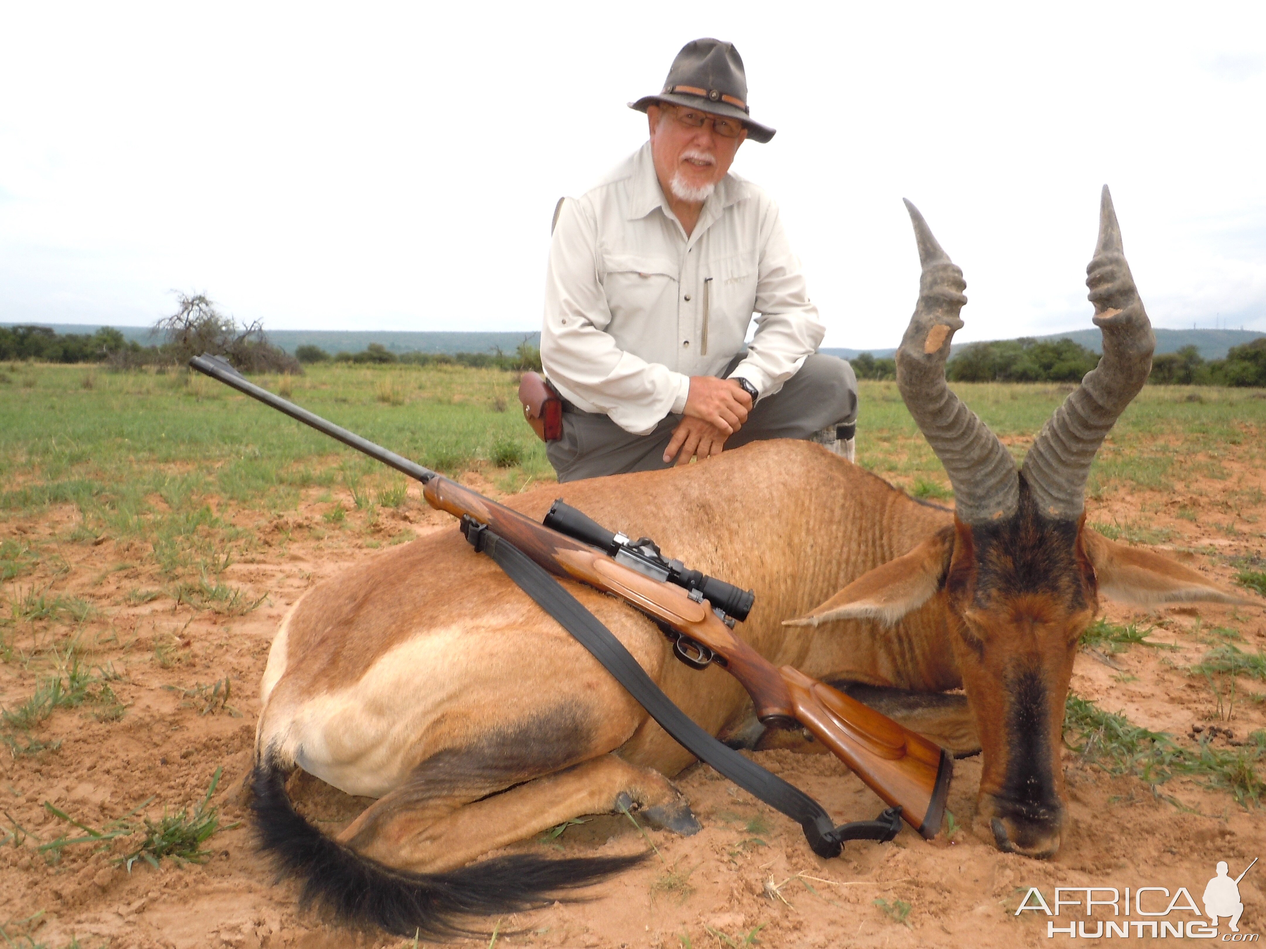 Red Hartebeest Hunt