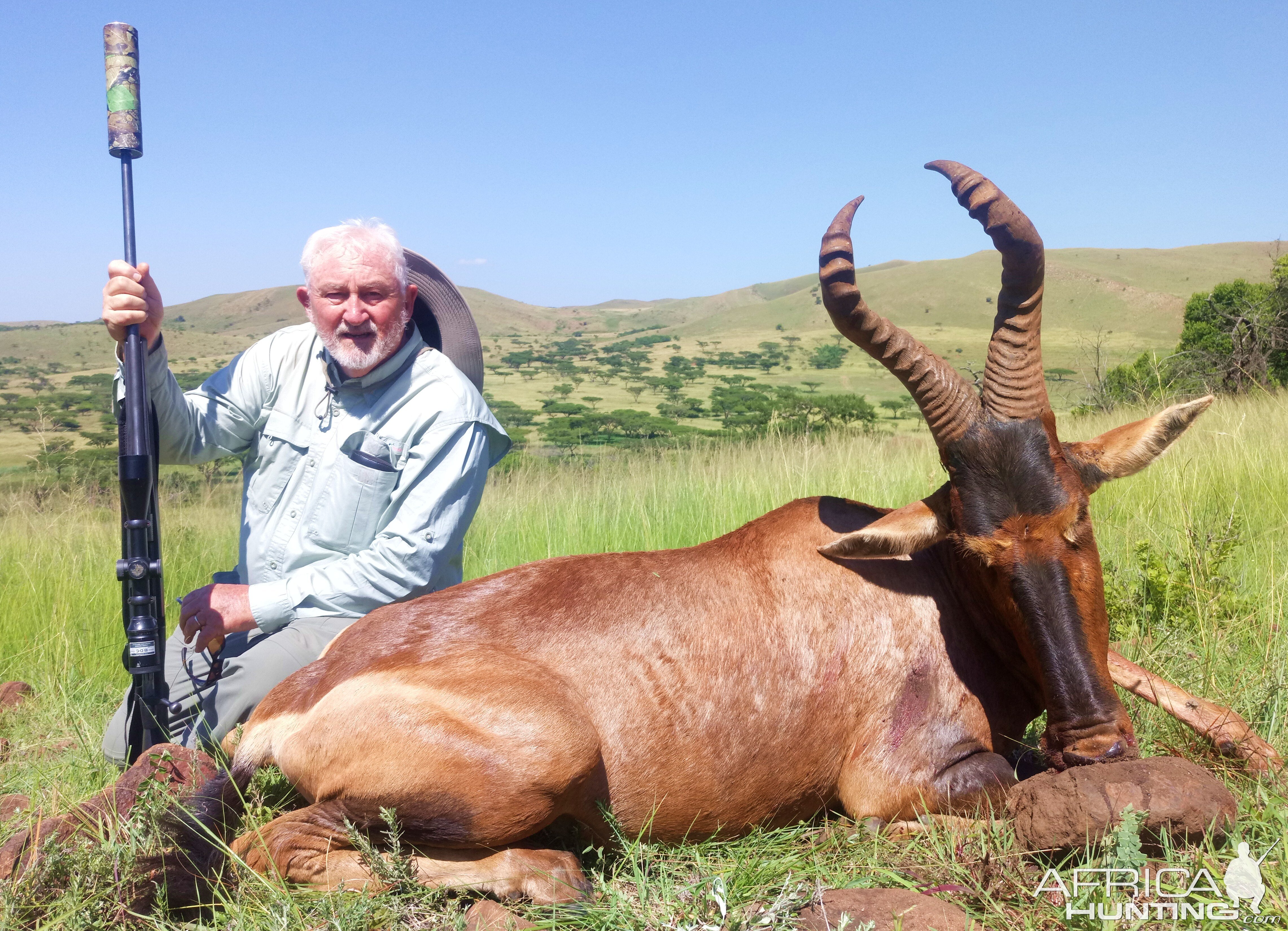 Red Hartebeest Hunt