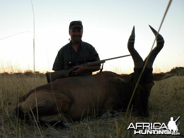 Red Hartebeest hunted at Westfalen Hunting Safaris Namibia