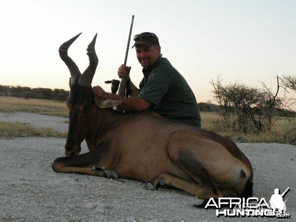 Red Hartebeest hunted at Westfalen Hunting Safaris Namibia