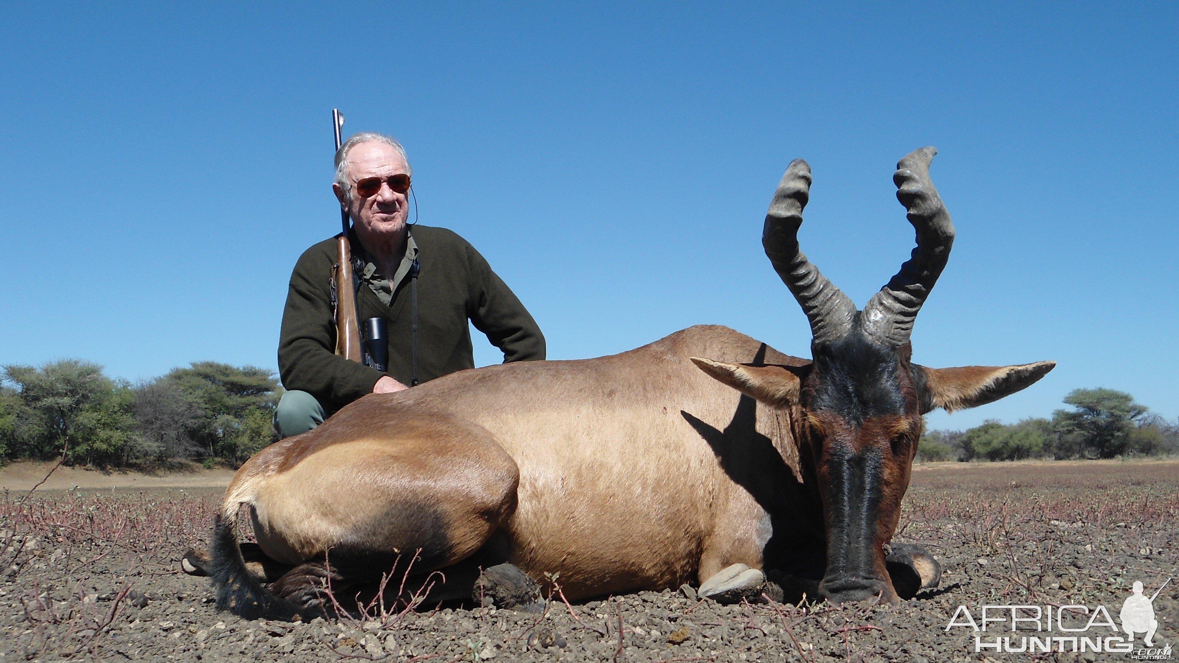 Red Hartebeest hunted with Ozondjahe Hunting Safaris in Namibia