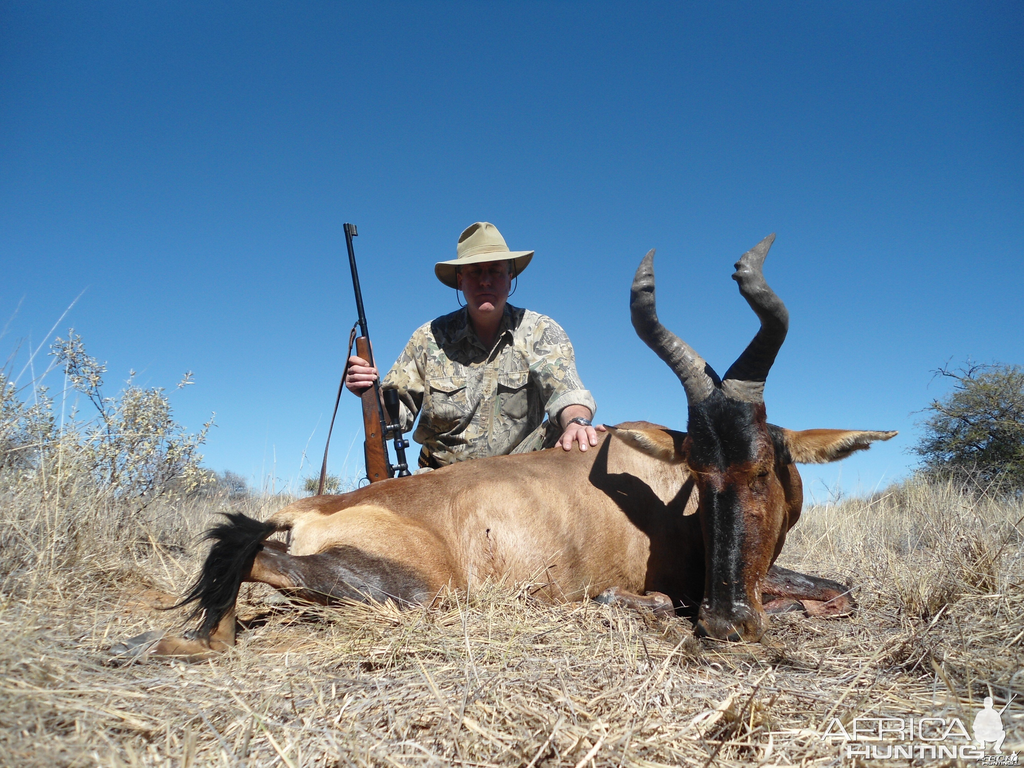 Red Hartebeest hunted with Ozondjahe Hunting Safaris in Namibia