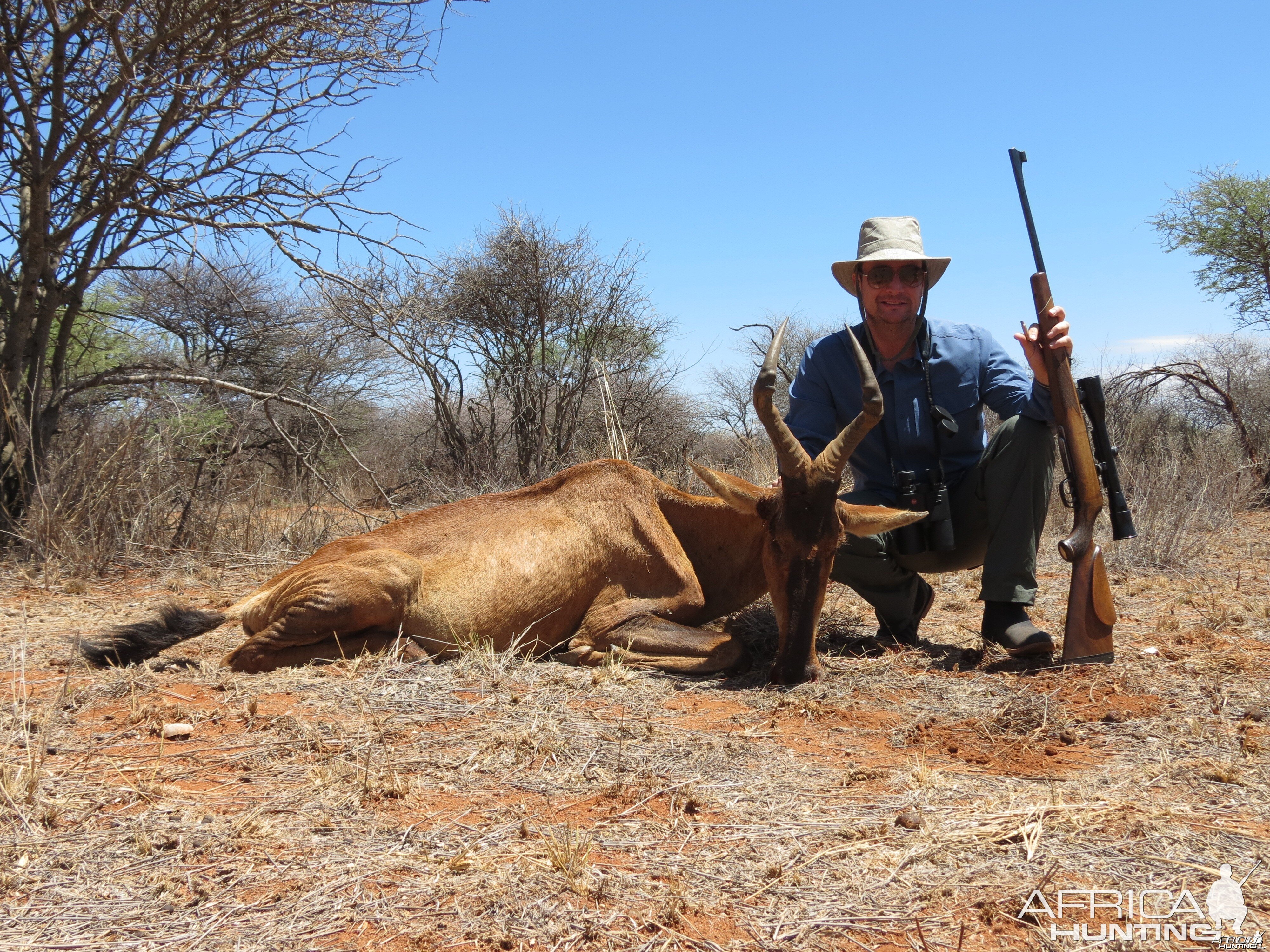 Red Hartebeest hunted with Ozondjahe Hunting Safaris in Namibia