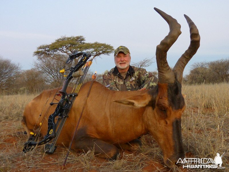 Red Hartebeest hunted with Wintershoek Johnny Vivier Safaris