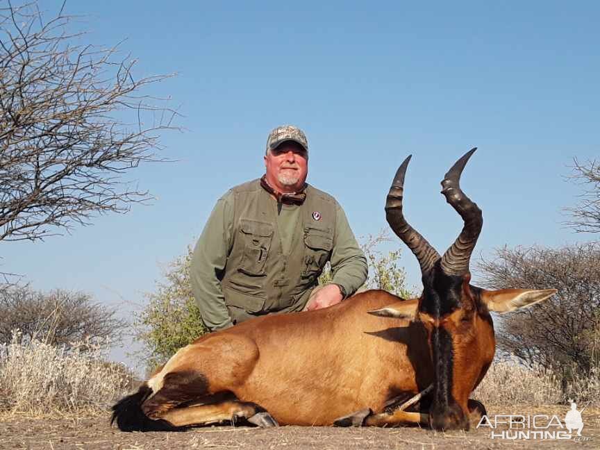 Red Hartebeest Hunting Botswana