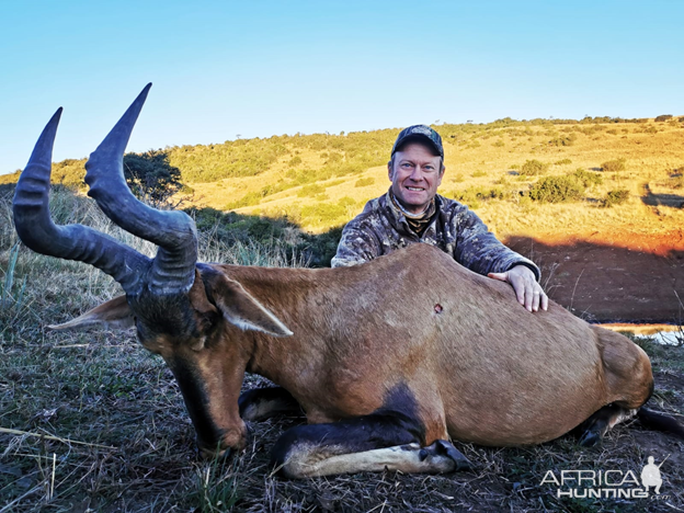 Red Hartebeest Hunting Eastern Cape South Africa