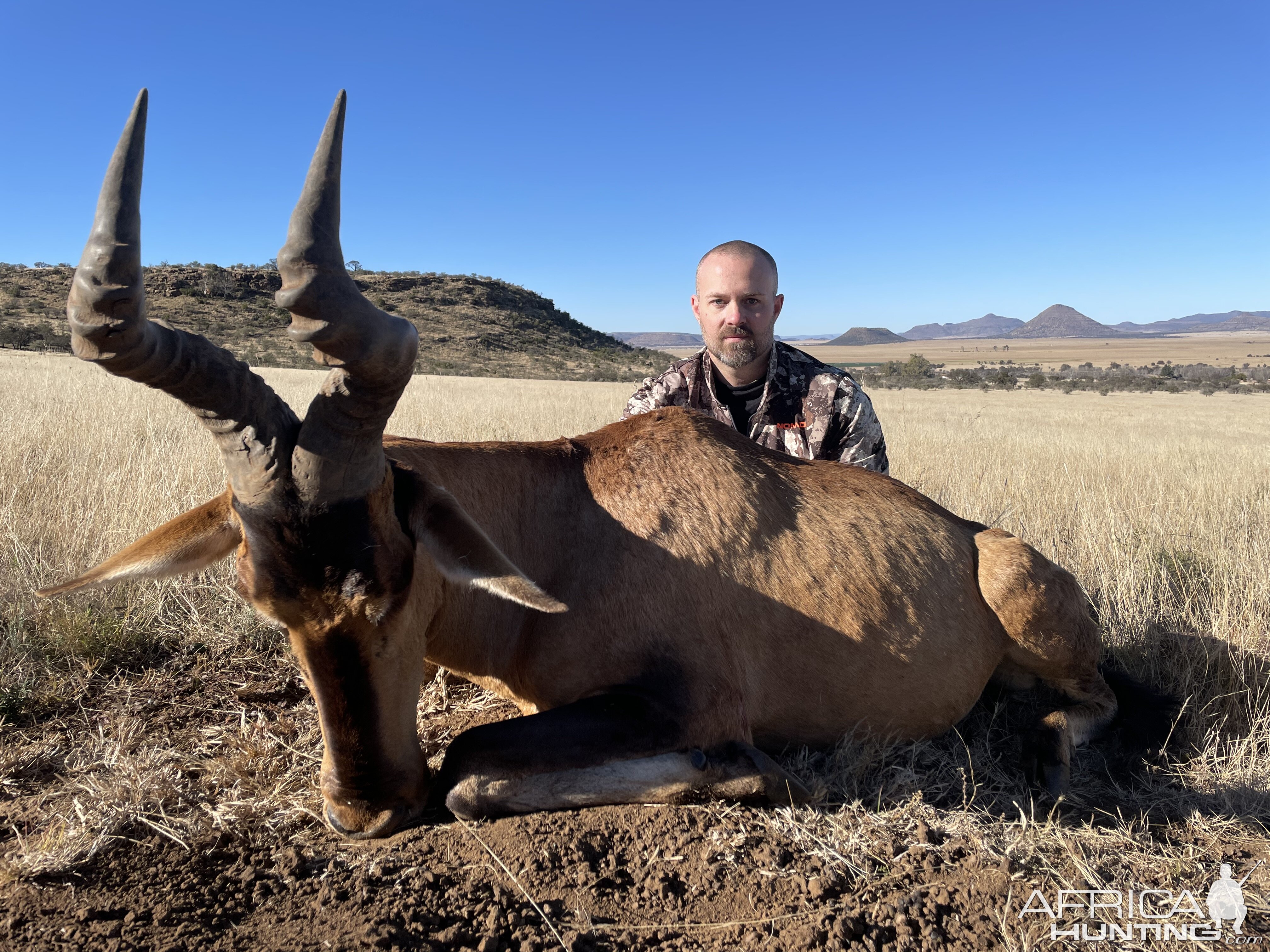 Red Hartebeest Hunting Eastern Cape South Africa