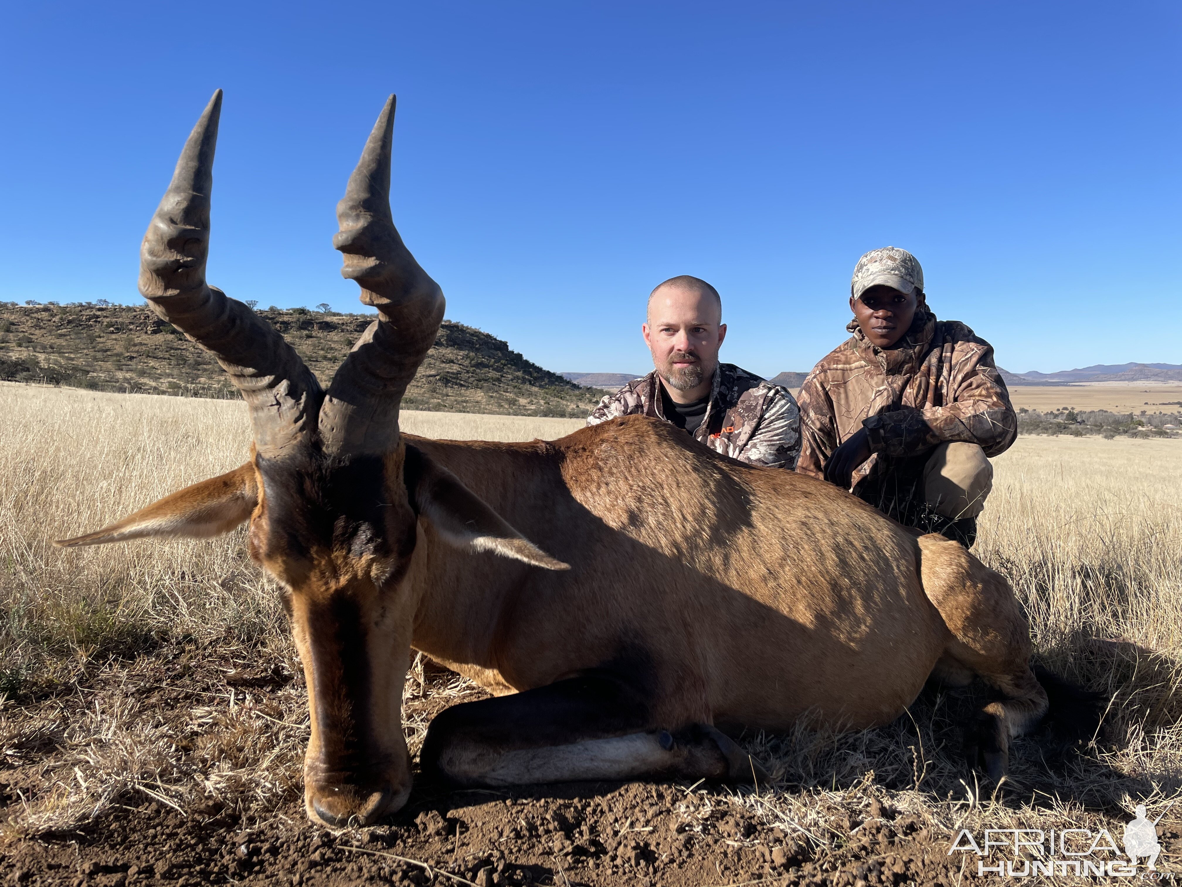 Red Hartebeest Hunting Eastern Cape South Africa