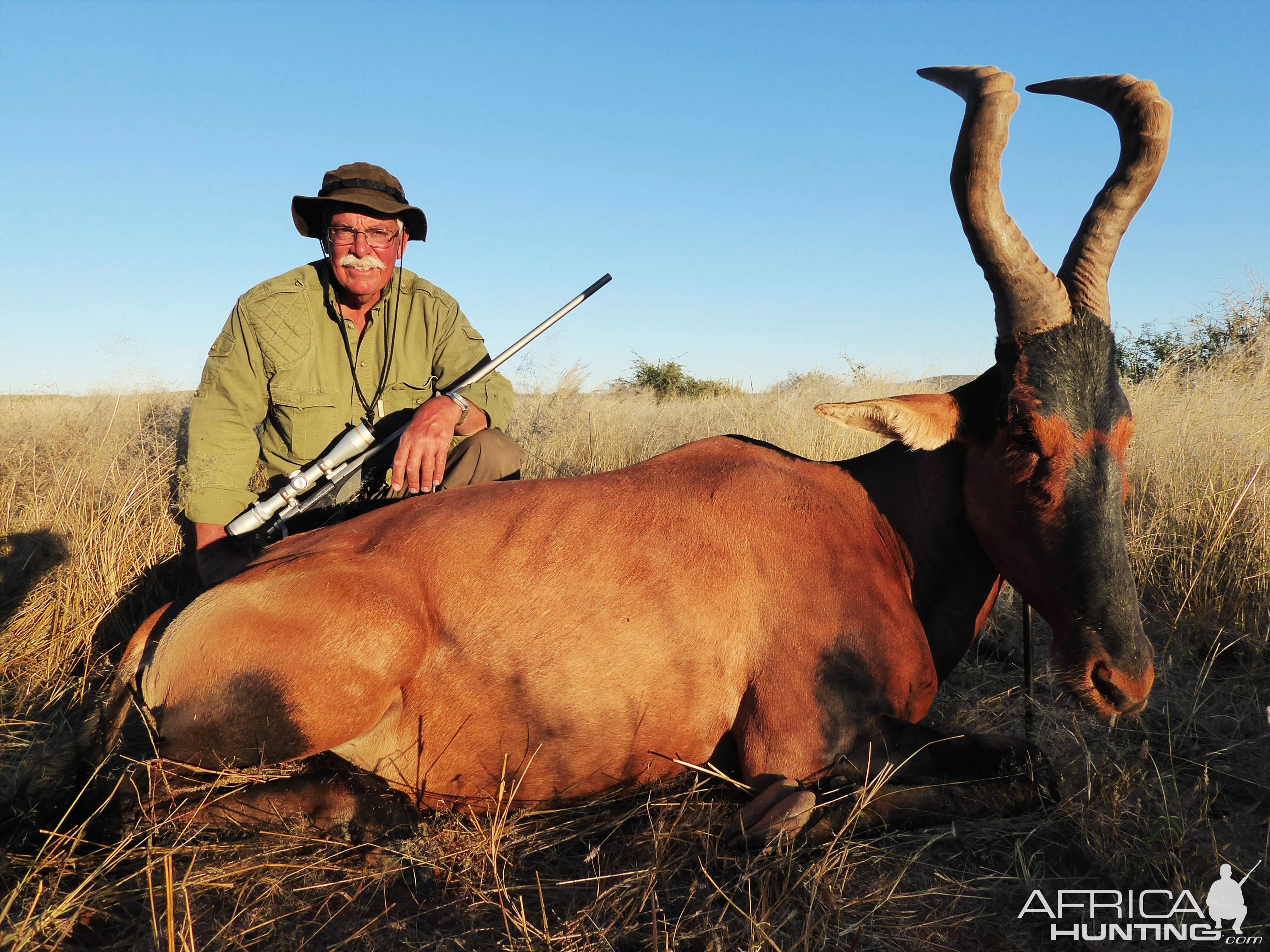 Red Hartebeest Hunting in Namibia