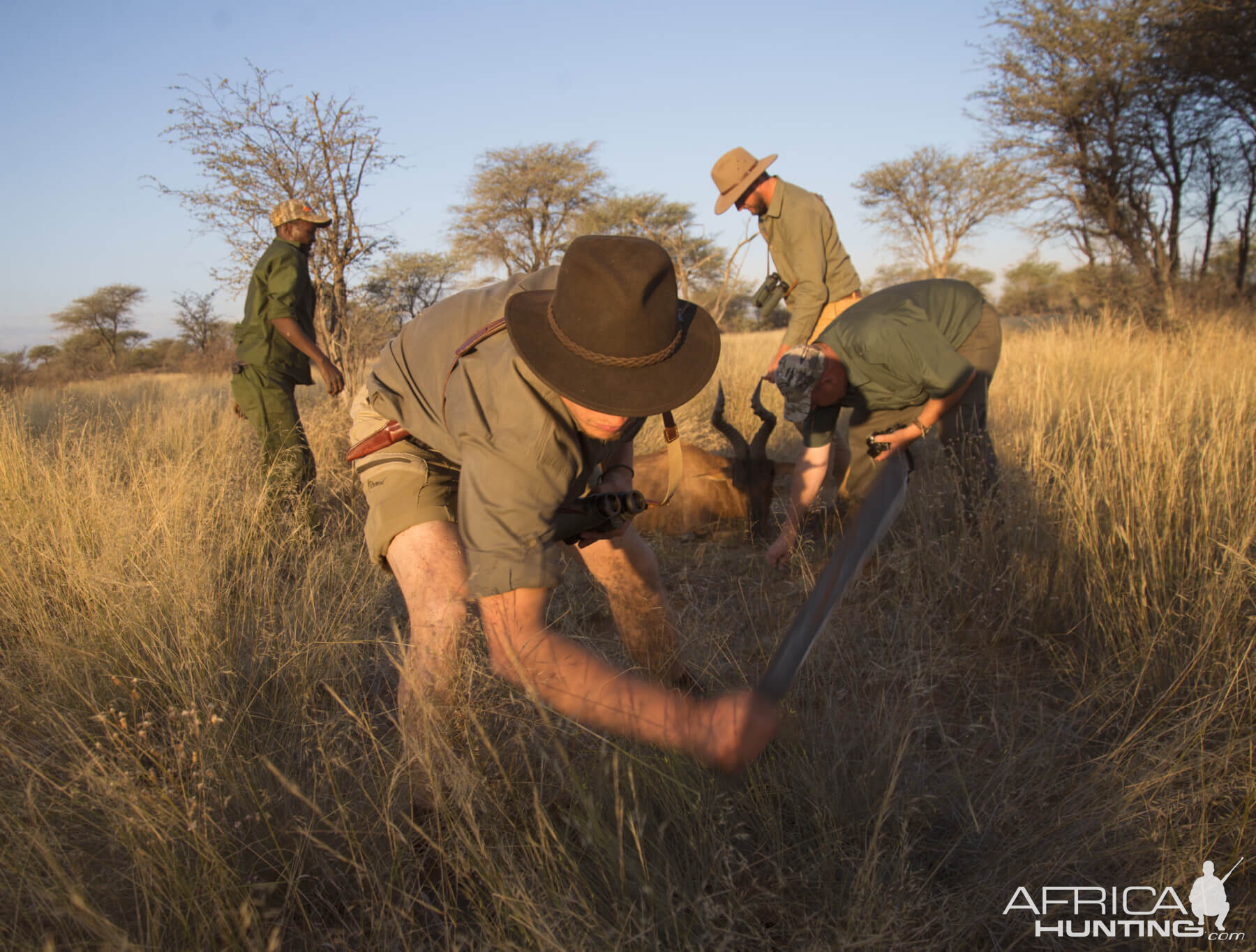 Red Hartebeest Hunting in Namibia