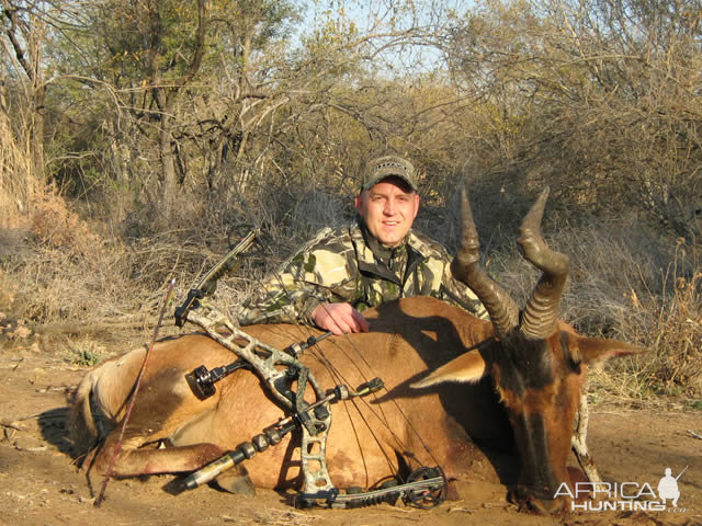 Red Hartebeest Hunting in South Africa