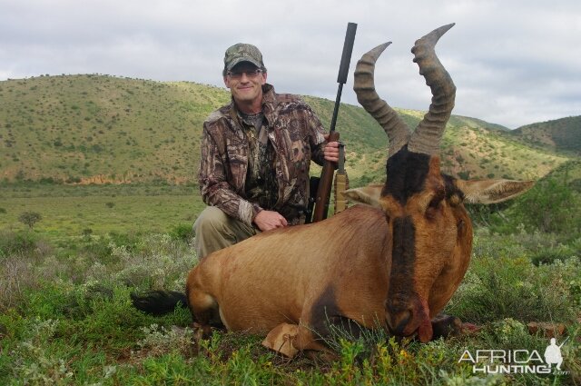 Red Hartebeest Hunting in South Africa