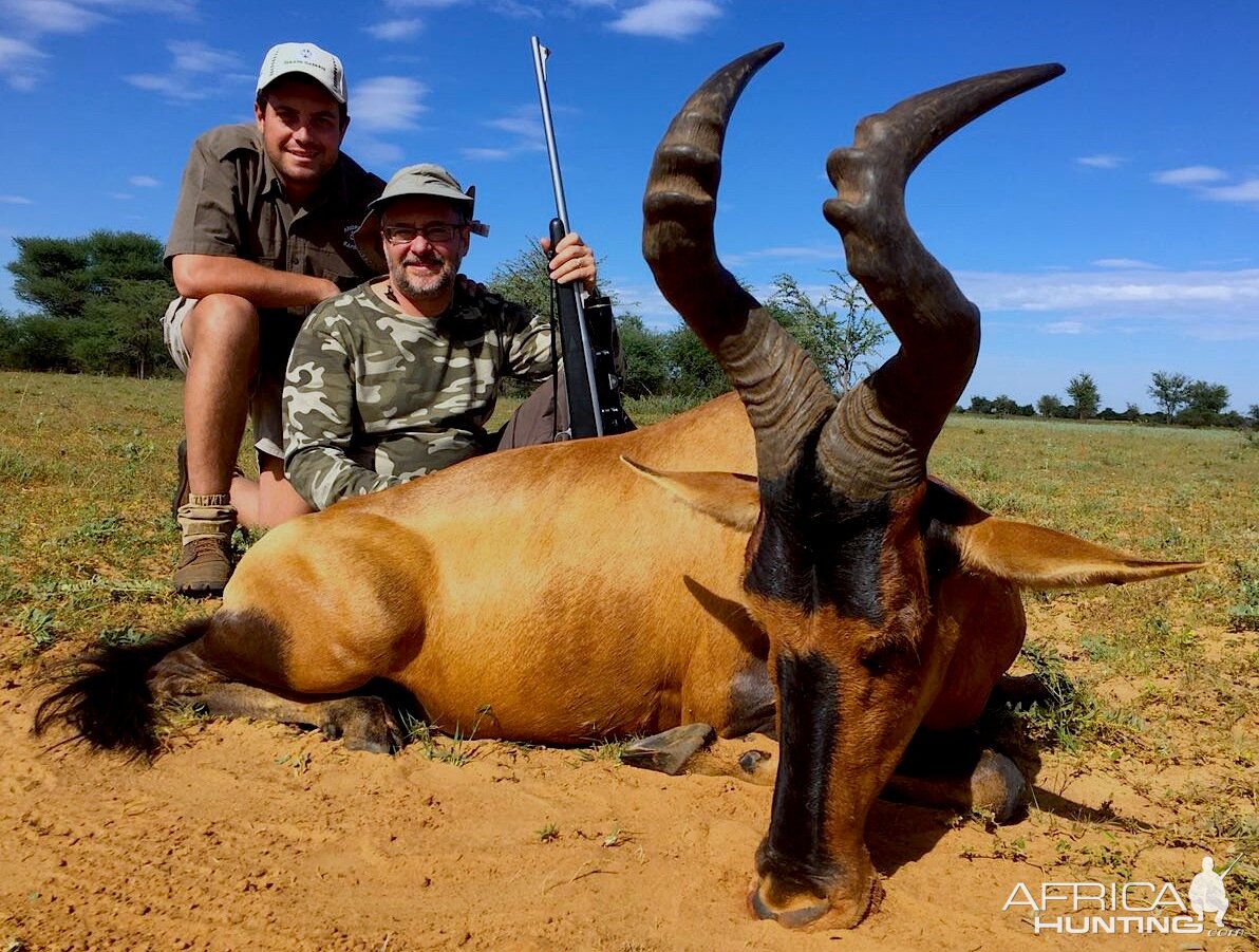 Red Hartebeest Hunting in South Africa