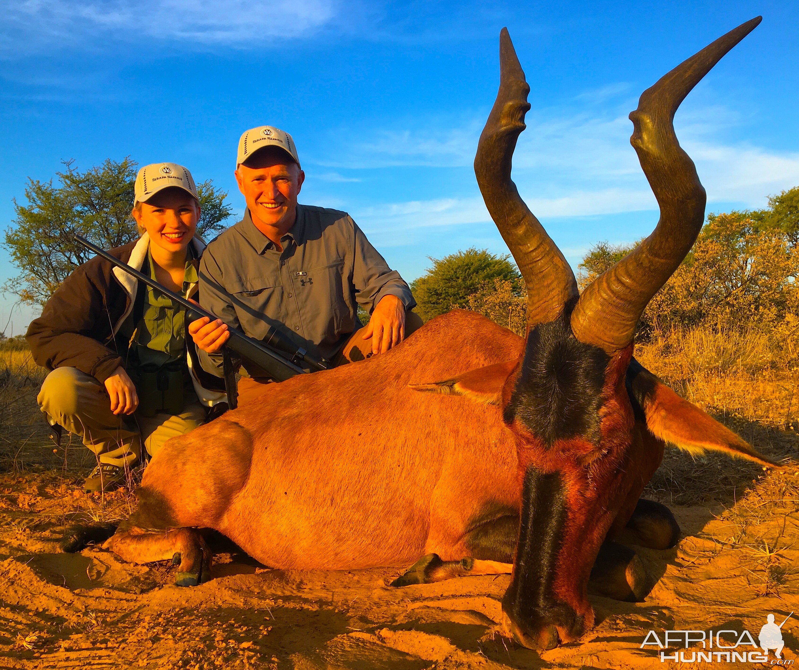 Red Hartebeest Hunting in South Africa