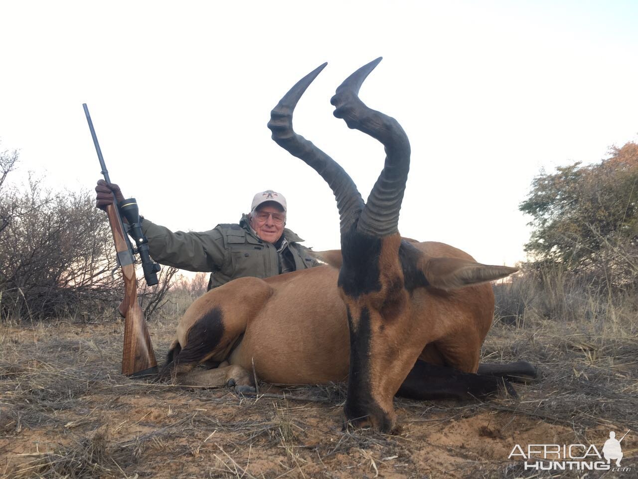 Red Hartebeest Hunting in South Africa