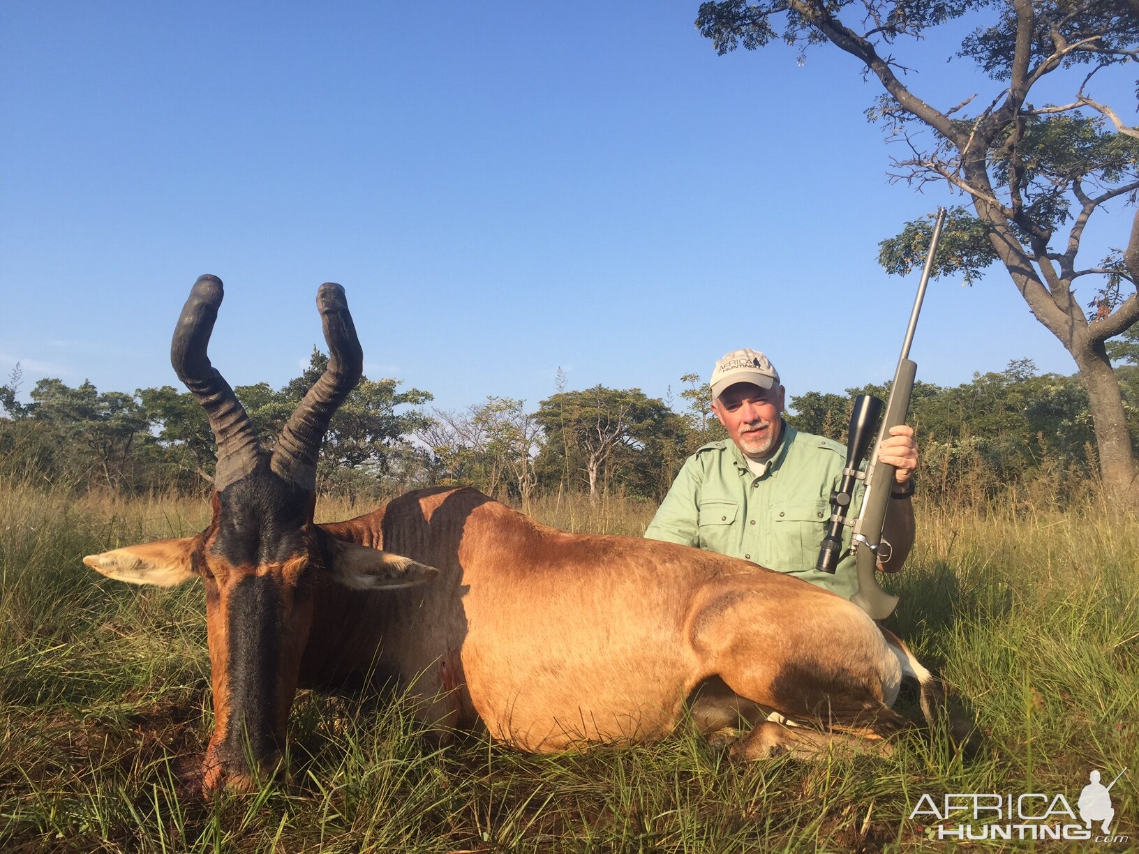 Red Hartebeest Hunting in South Africa