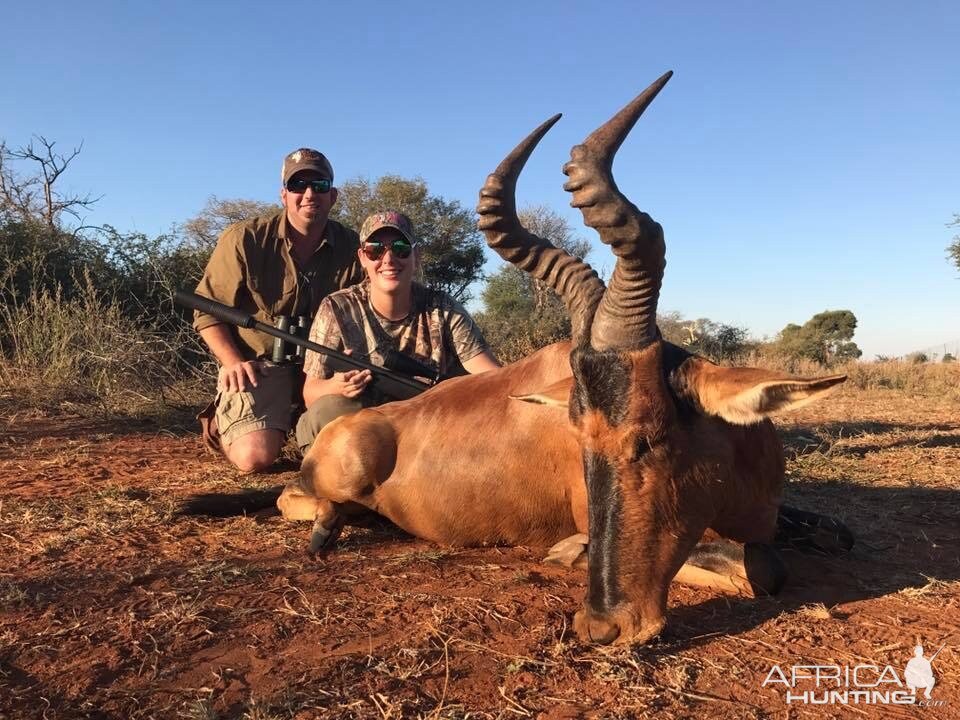 Red Hartebeest Hunting in South Africa