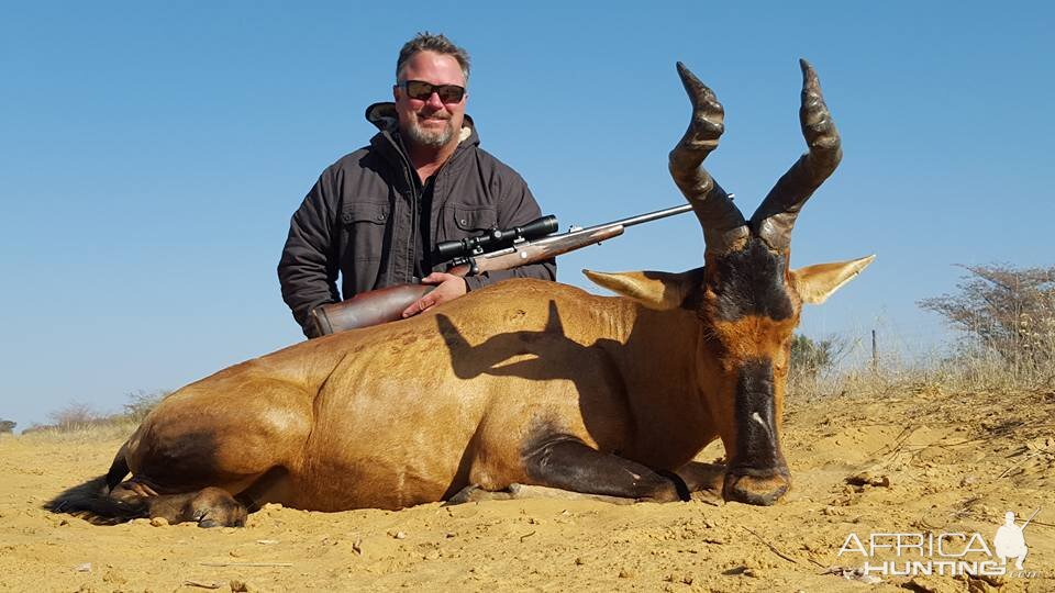 Red Hartebeest Hunting in South Africa