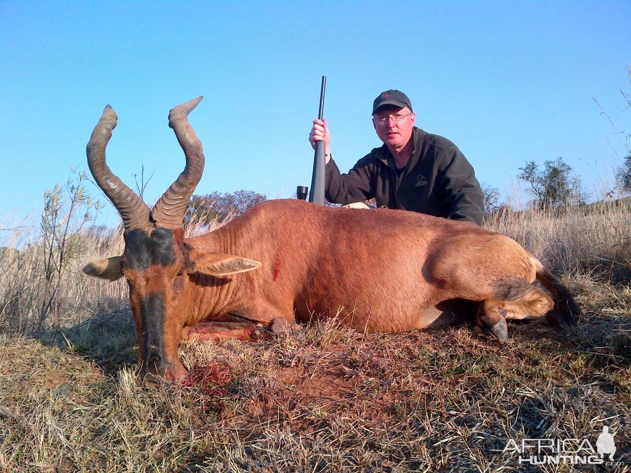 Red Hartebeest Hunting in South Africa