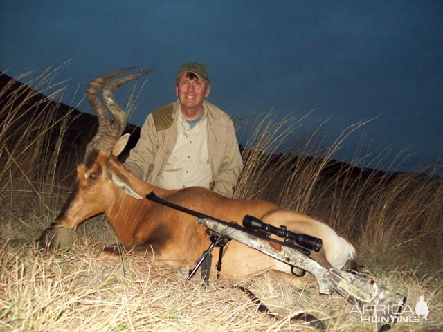 Red Hartebeest Hunting in South Africa