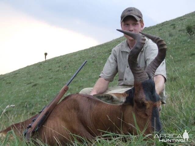 Red Hartebeest Hunting in South Africa