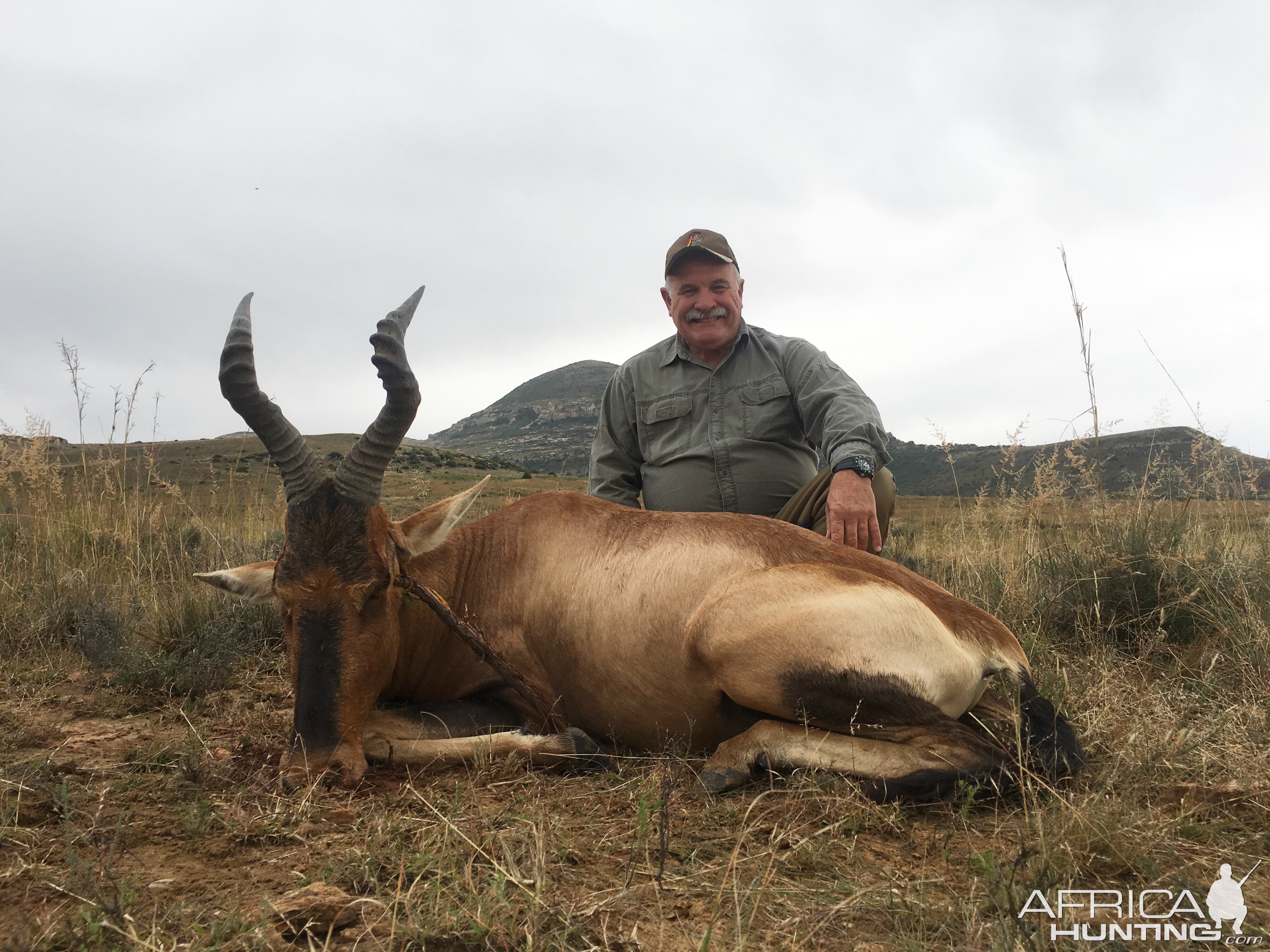 Red Hartebeest Hunting in South Africa