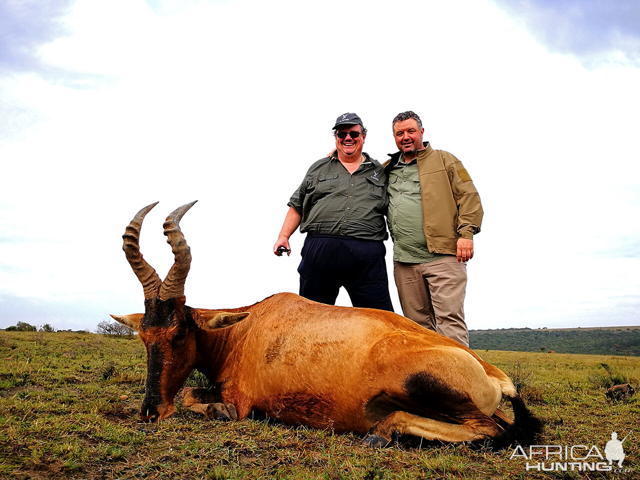 Red Hartebeest Hunting in South Africa