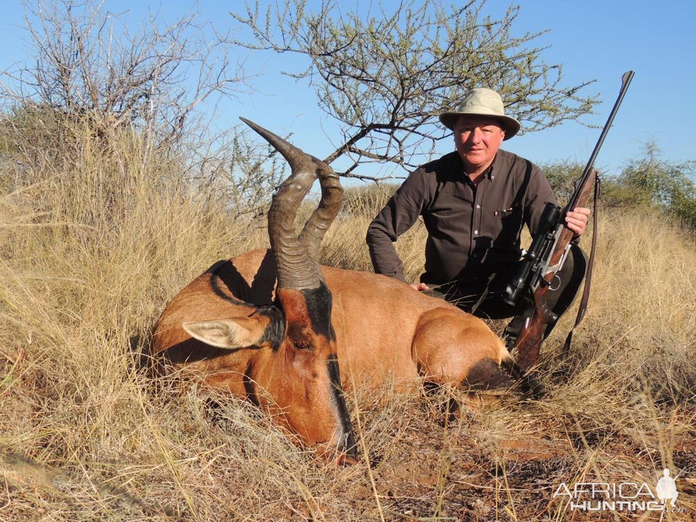 Red Hartebeest Hunting in South Africa