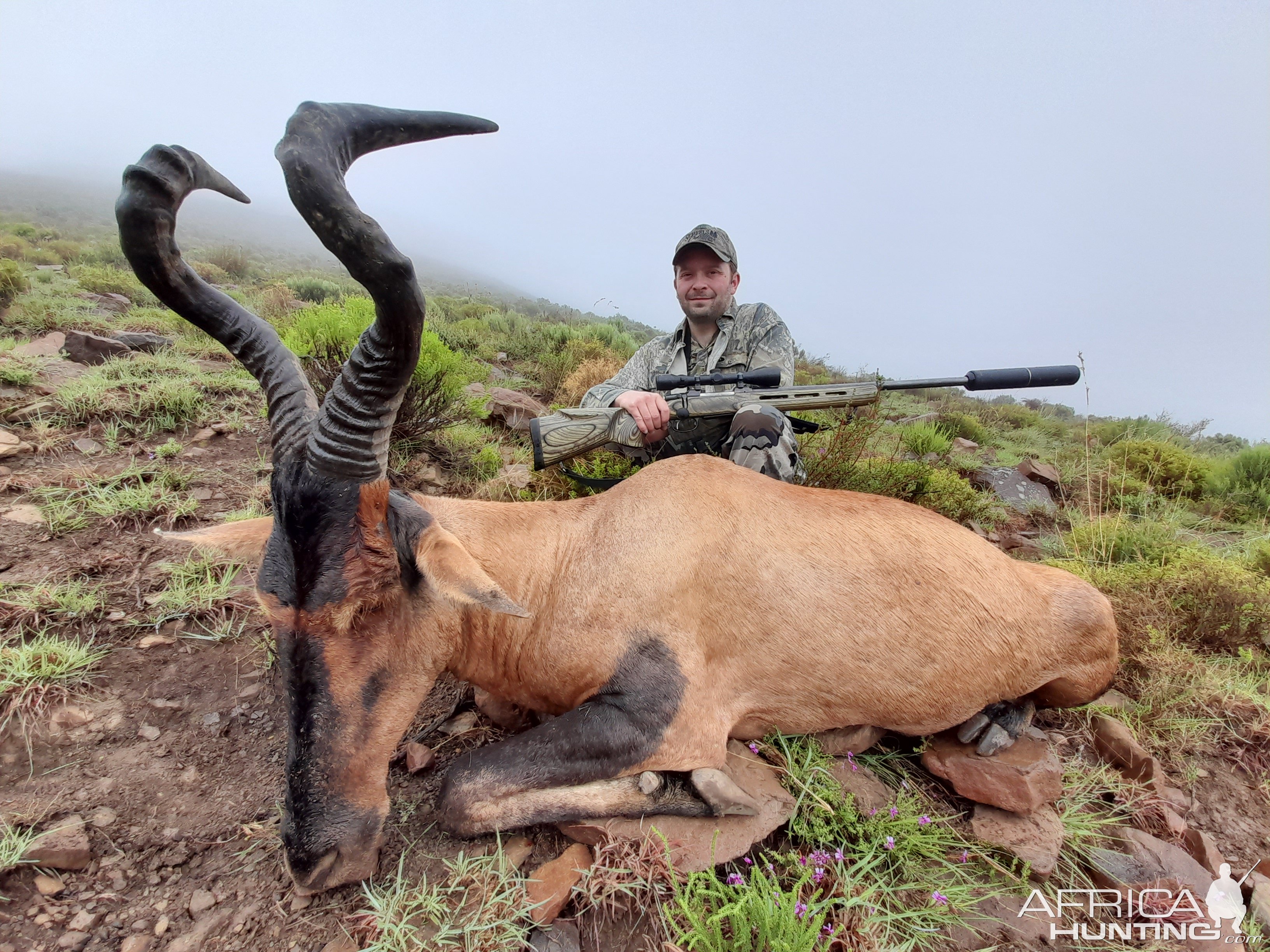 Red Hartebeest Hunting Karoo South Africa