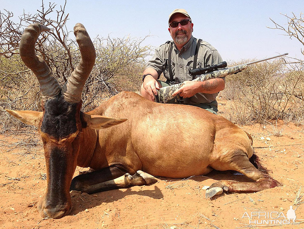 Red Hartebeest Hunting Namibia