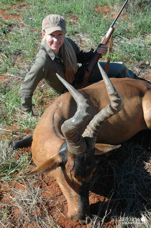 Red Hartebeest Hunting Namibia